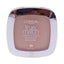 LOREAL TRUE MATCH POWDER POUDRE W2 LIGHT CLAIR 9.5G | Best Price in Pakistan original skincare product Pakistan