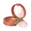 BOURJOIS ROUND POT DUO BLUSH BRONZE 2.4GM | Best Price in Pakistan original skincare product Pakistan
