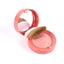 BOURJOIS BLUSHER ROSE ECLAT PCS | Best Price in Pakistan original skincare product Pakistan