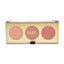 MILANI ROSE POWDER BLUSH 02 FLORAL FANTASY 12G | Best Price in Pakistan original skincare product Pakistan