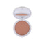 GABRINI PROFESSIONAL MATTE POWDER 04 | Best Price in Pakistan original skincare product Pakistan