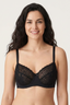 BLS | Petunia Non Padded And Wired Lace Bra | Black | Best Price in Pakistan original skincare product Pakistan