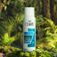 CLAREE Lush Natural Deodorant Spray | Cool and Breezy | Best Price in Pakistan original skincare product Pakistan