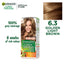 Garnier Color Naturals | 6.3 Golden Light Brown | Best Price in Pakistan original skincare product Pakistan