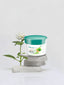 Golden Pearl Skin Lightening Organic Clay Mask | 300ml | Best Price in Pakistan original skincare product Pakistan