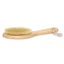 Titania | Massage Brush | Best Price in Pakistan original skincare product Pakistan
