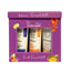 Derma Shine Fruit Facial Kit | Best Price in Pakistan original skincare product Pakistan