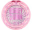 Essence | Harley Quinn Glow Highlighter 01 rebel | Best Price in Pakistan original skincare product Pakistan