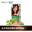 Garnier | Color Naturals Crème Hair Color | 4.3 Golden Brown | Best Price in Pakistan original skincare product Pakistan