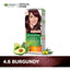 Garnier | Color Naturals Crème Hair Color | 4.6 Burgundy Red | Best Price in Pakistan original skincare product Pakistan