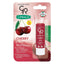 Golden Rose Golden Rose Lip Balm | Best Price in Pakistan original skincare product Pakistan