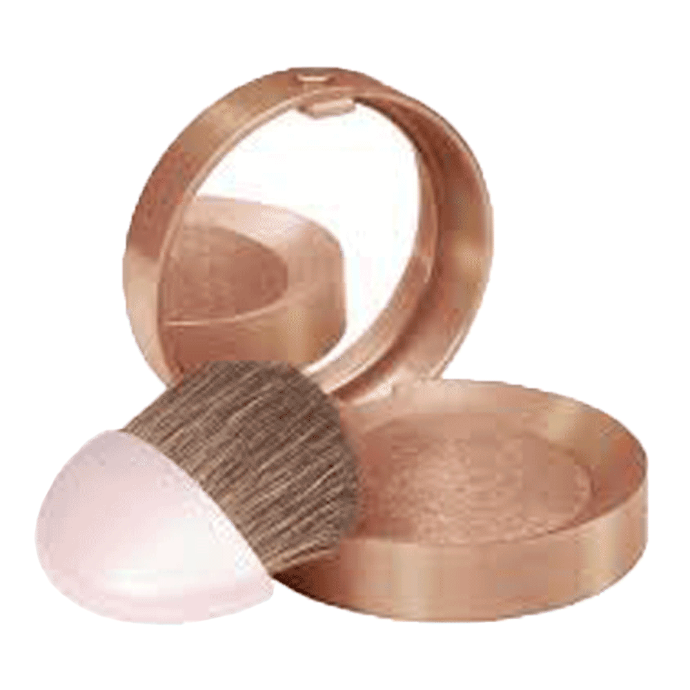 BOURJOIS BLUSHER CHATAIGNE DOREE PCS | Best Price in Pakistan original skincare product Pakistan