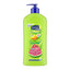Suave Kids 3In1 Shmp+Cond+Body Wash Watermelon Wonder Pump 18Oz/532Ml | Best Price in Pakistan original skincare product Pakistan