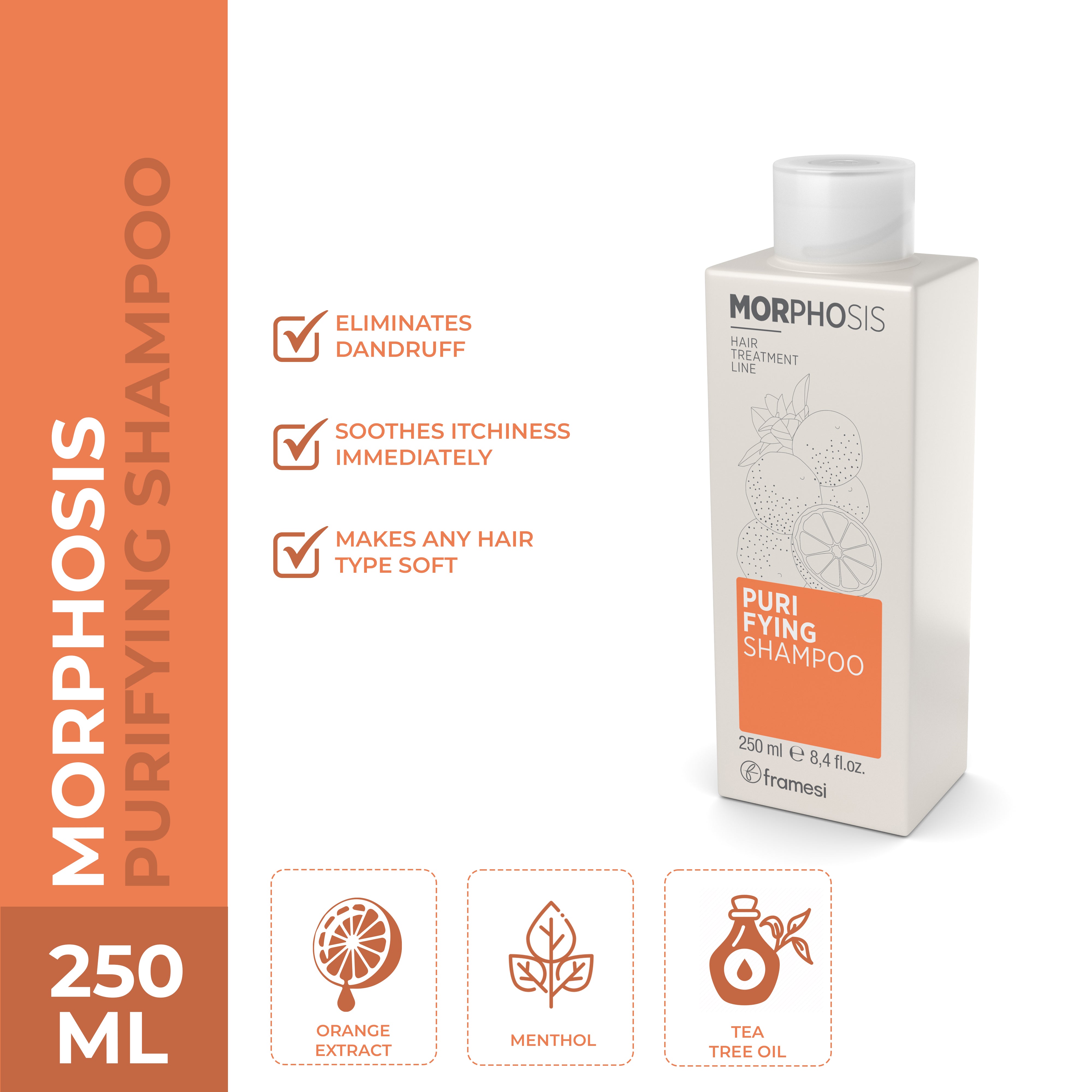 Framesi | Morphosis Purifying Shampoo 250 ml | Best Price in Pakistan original skincare product Pakistan مرکزی تصویر