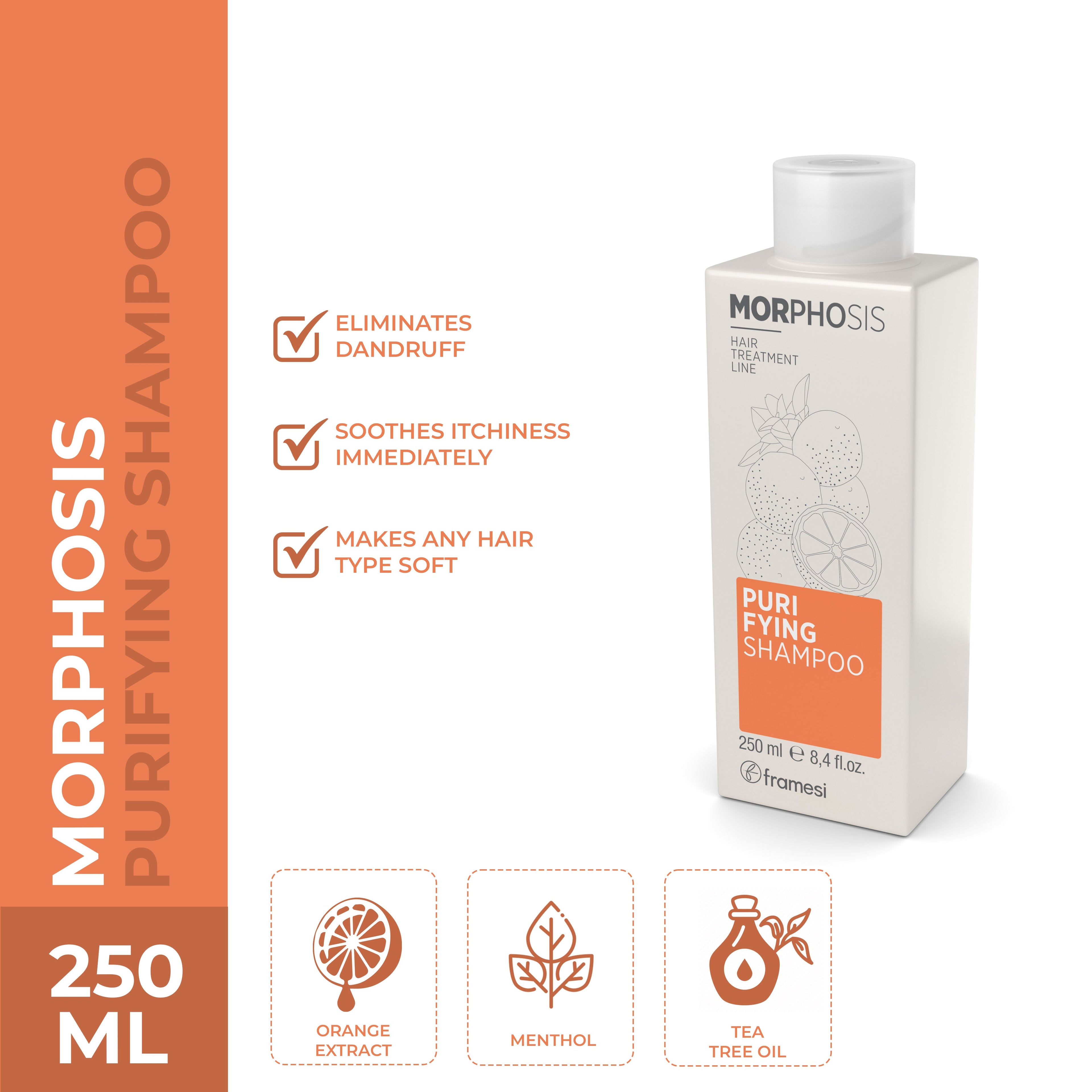 Framesi | Morphosis Purifying Shampoo 250 ml | Best Price in Pakistan original skincare product Pakistan