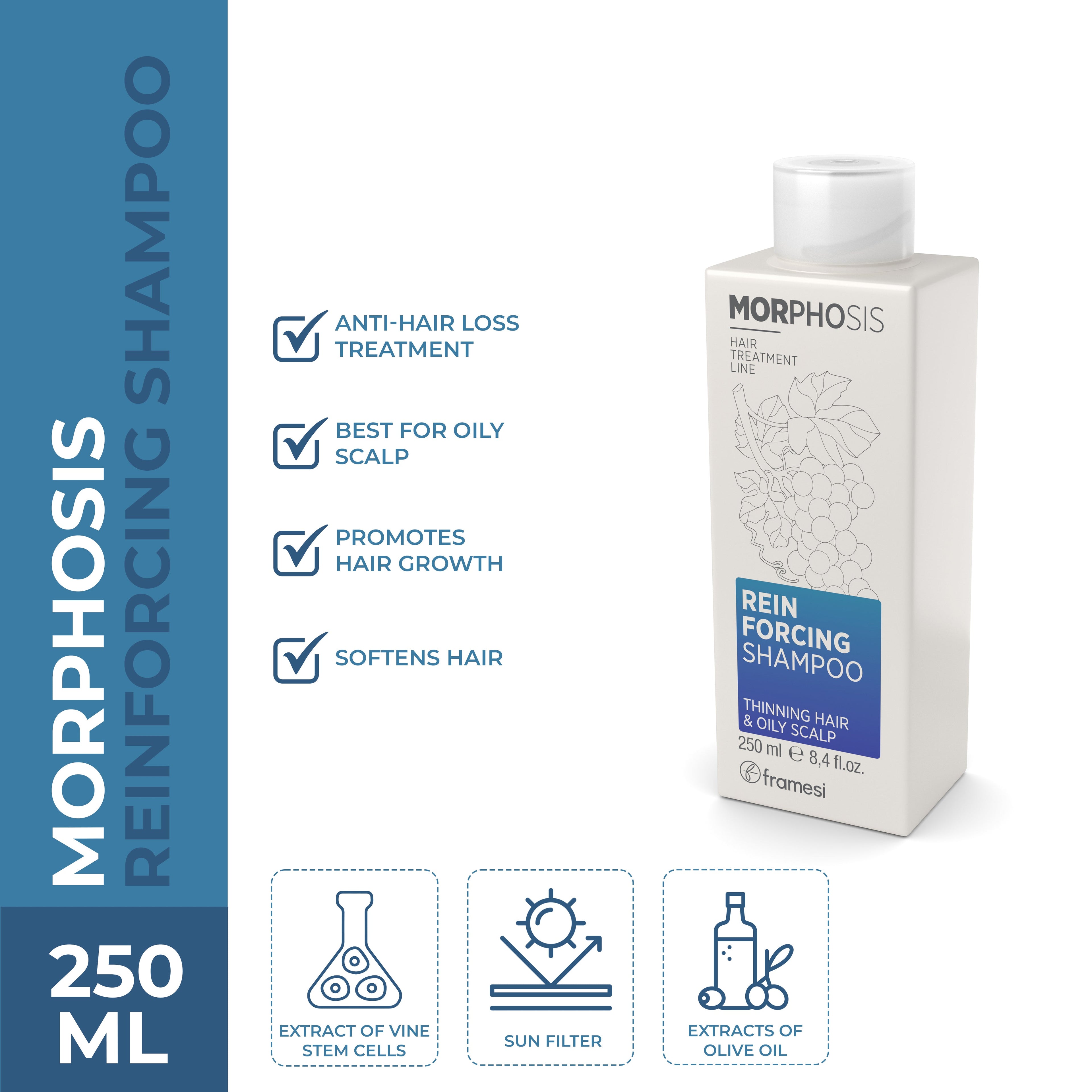Framesi | Morphosis Reinforcing Shampoo 250 ml | Best Price in Pakistan original skincare product Pakistan