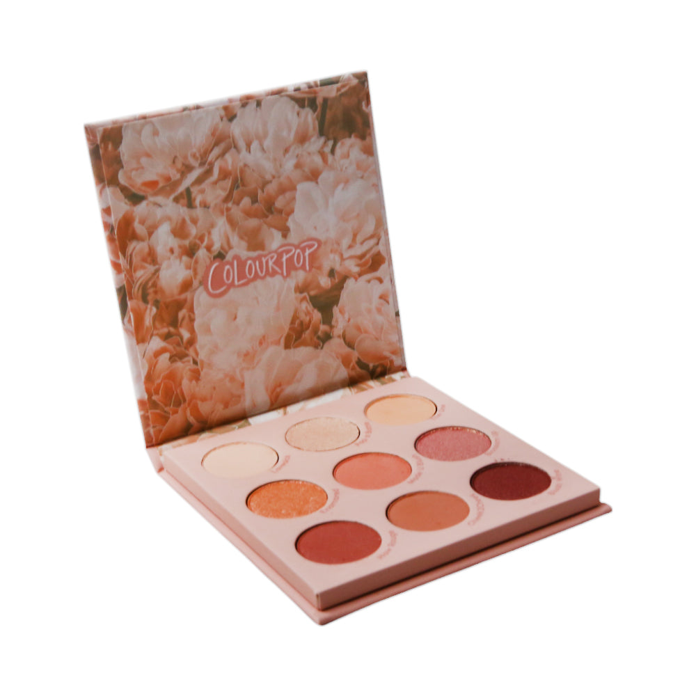 COLOURPOP BLUSH CRUSH EYESHADOW PALETTE 9G | Best Price in Pakistan original skincare product Pakistan