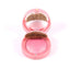 BOURJOIS BLUSHER ROSE D OR PCS | Best Price in Pakistan original skincare product Pakistan
