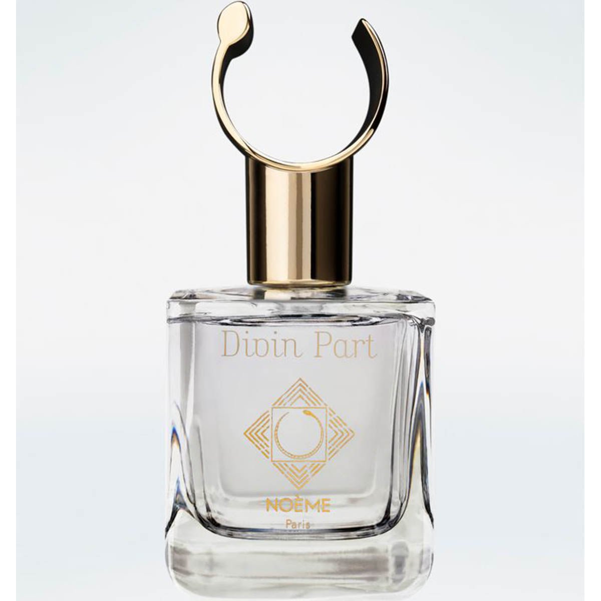 Noeme Divin Part Parfumeur Indiscret Parfume 100 Ml | Best Price in Pakistan original skincare product Pakistan Main image