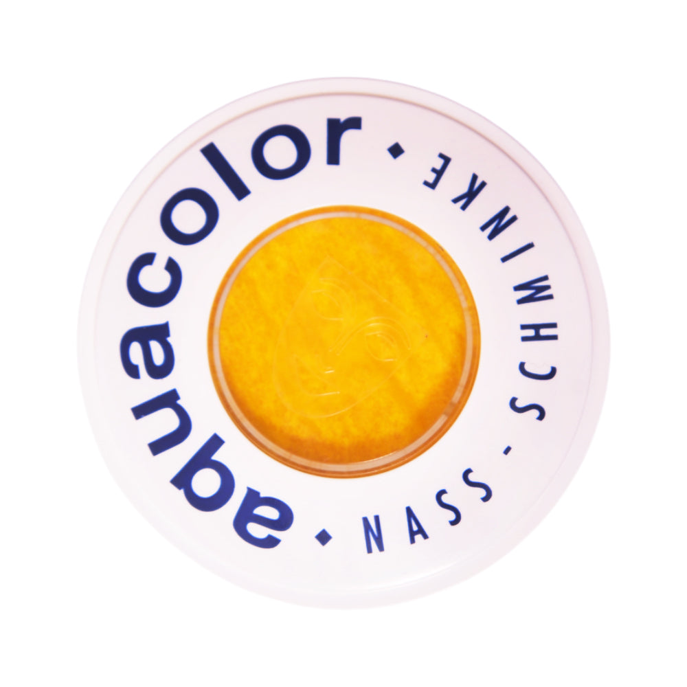 KRYOLAN WET CAKE-303 PC | Best Price in Pakistan original skincare product Pakistan