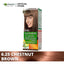 Garnier Color Naturals | 6.25 Chestnut Brown | Best Price in Pakistan original skincare product Pakistan