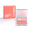 HUDA BLUSH FILTER BLUSH PALETTE TOASTY PEACH 7.5G | Best Price in Pakistan original skincare product Pakistan