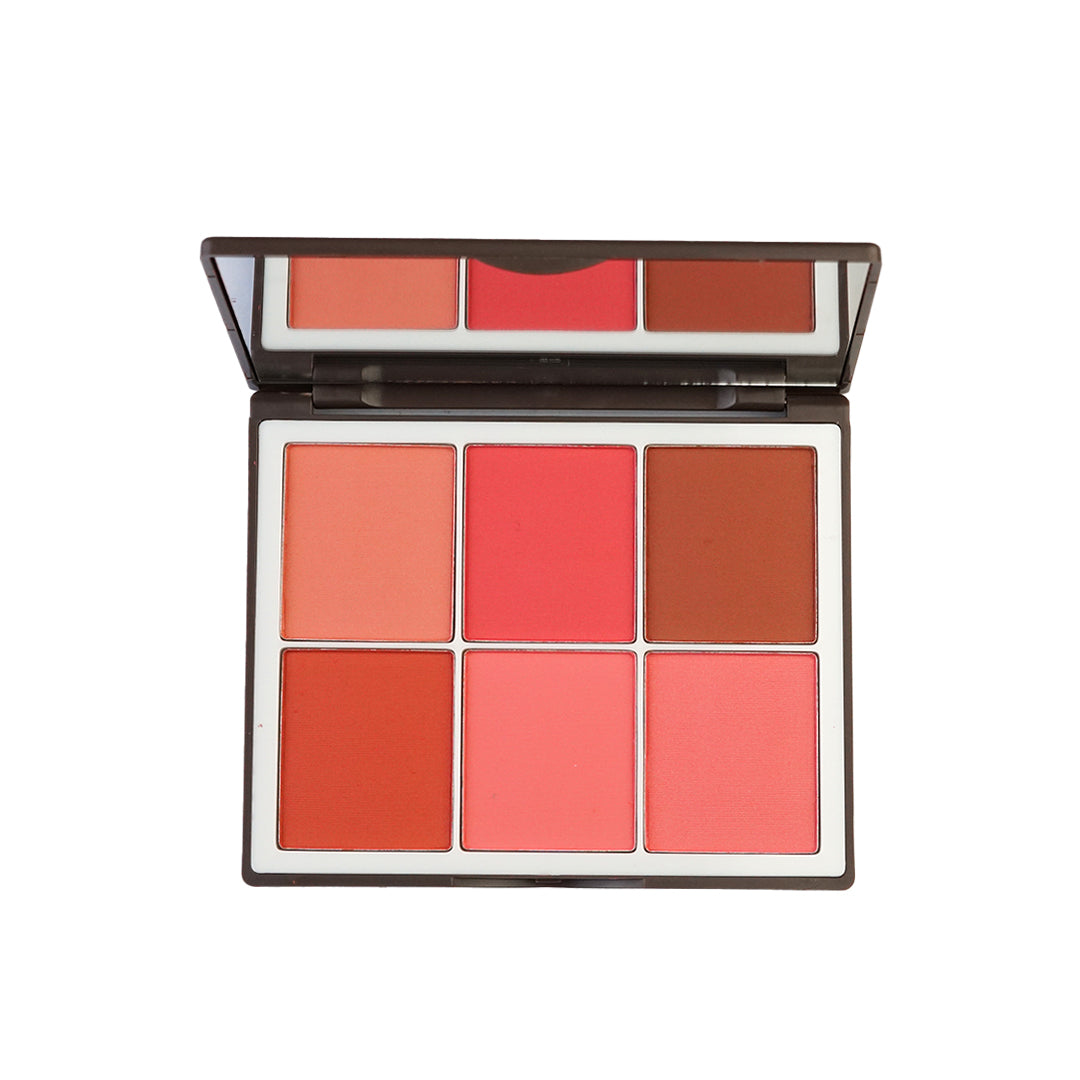Sweetface | 6 Color Elegant Matt & Silky Blushon | Best Price in Pakistan original skincare product Pakistan