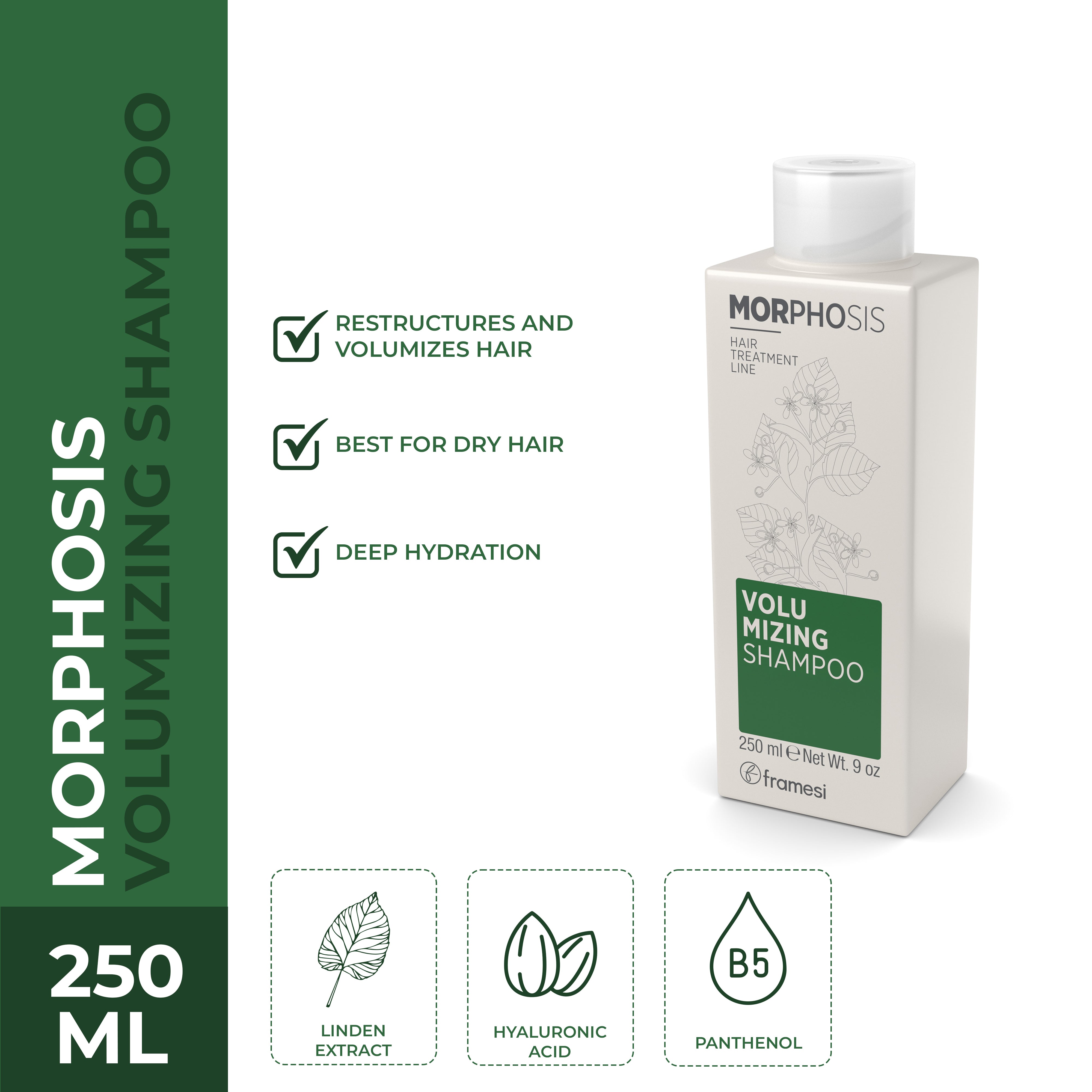Framesi | Morphosis Volumizing Shampoo 250 ml | Best Price in Pakistan original skincare product Pakistan مرکزی تصویر