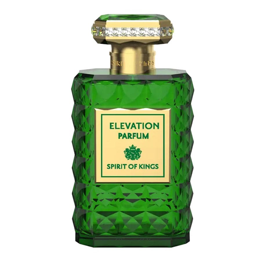Spirit Of Kings Elevation EDP For Unisex 100Ml | Best Price in Pakistan original skincare product Pakistan مرکزی تصویر
