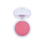 GABRINI PROFESSIONAL BLUSH ON # 51 | Best Price in Pakistan original skincare product Pakistan