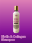 B&B Derma | Biotin & Collagen Shampoo | Best Price in Pakistan original skincare product Pakistan