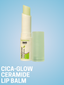B&B Derma | Cica-Glow Ceramide Lip Balm | Best Price in Pakistan original skincare product Pakistan