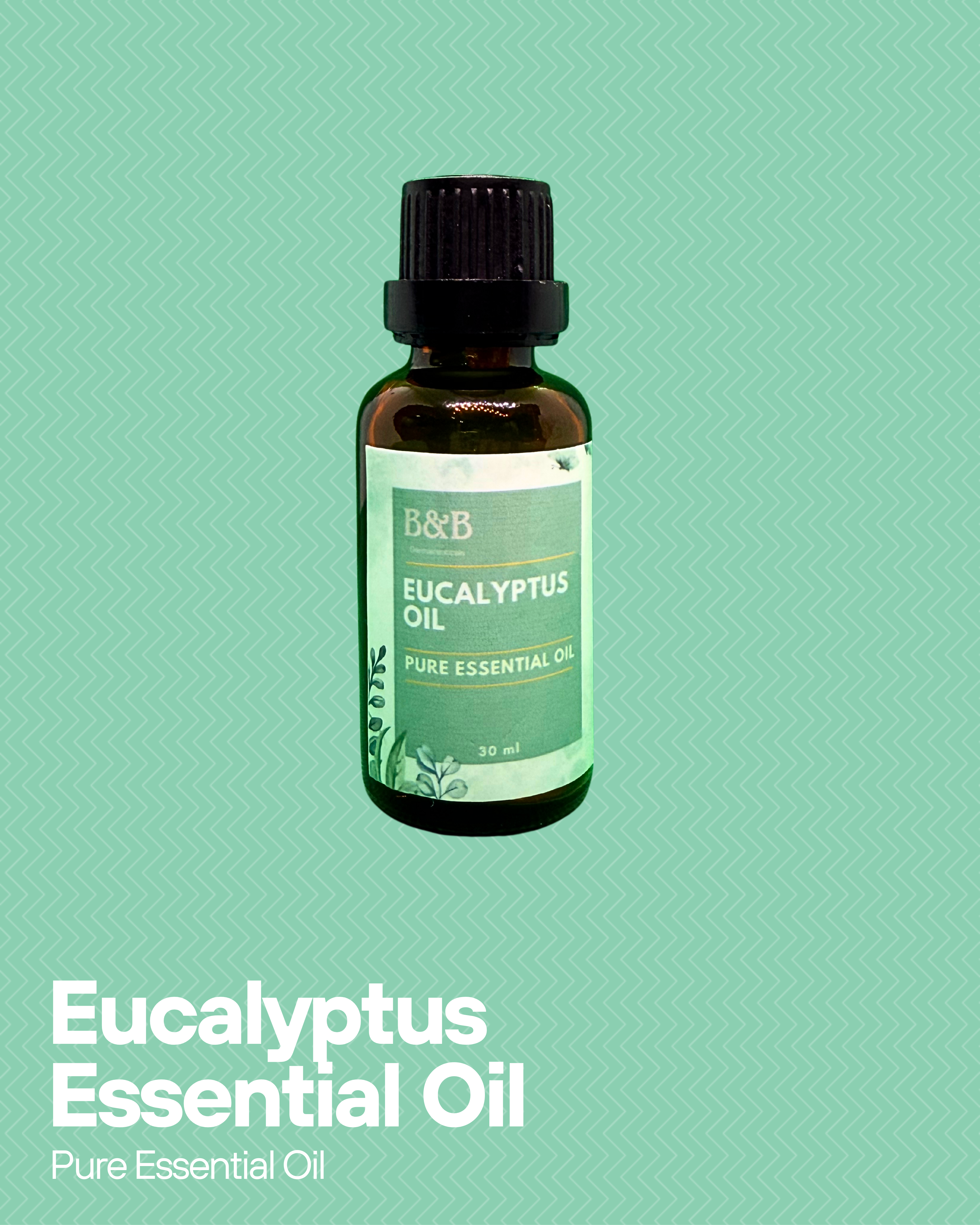 B&B Derma | Eucalyptus Essential Oil | Best Price in Pakistan original skincare product Pakistan مرکزی تصویر