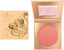 Essence The Lion King Maxi Blush 01 | Best Price in Pakistan original skincare product Pakistan