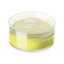 Lurella | Active Colors | Lemonade | Best Price in Pakistan original skincare product Pakistan