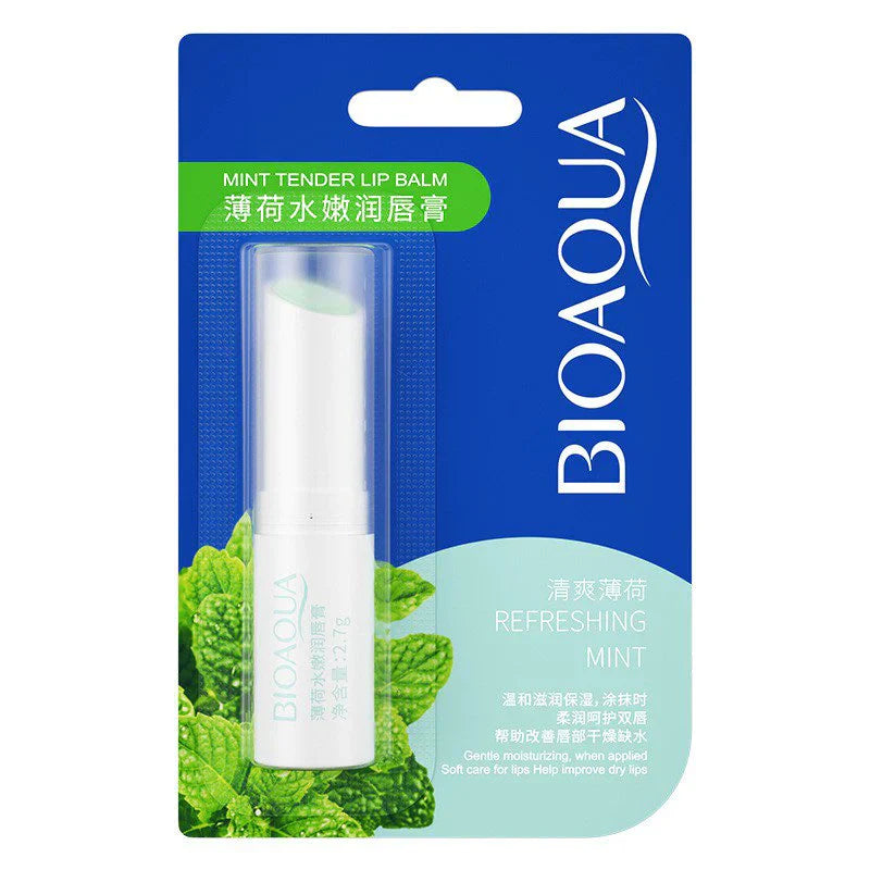 Bio Aqua Lip Balm Moisturizing Mint Tender | Best Price in Pakistan original skincare product Pakistan Main image