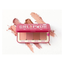 THE BALM AUTO BALM GIRL POWDER PALLETE | Best Price in Pakistan original skincare product Pakistan