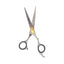 Salon Designers Pro Scissors Razor Edge Gold series 5.5? inches | Best Price in Pakistan original skincare product Pakistan