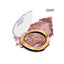 ST London | Glam N Shine Blusher | Best Price in Pakistan original skincare product Pakistan