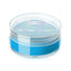 Lurella | Active Colors | Under The Sea | Best Price in Pakistan original skincare product Pakistan