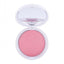 Gabrini Professional Blush On | 55 | Best Price in Pakistan original skincare product Pakistan