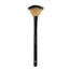 Golden Rose FAN BRUSH | Best Price in Pakistan original skincare product Pakistan