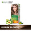 Garnier | Color Naturals Crème Hair Color | 6 Dark Blonde | Best Price in Pakistan original skincare product Pakistan