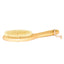 Titania | Hair Brush Oval | Best Price in Pakistan original skincare product Pakistan